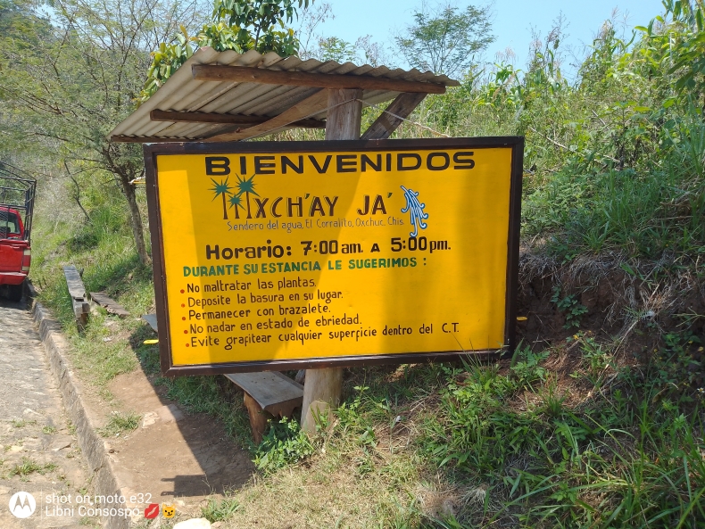 ñ